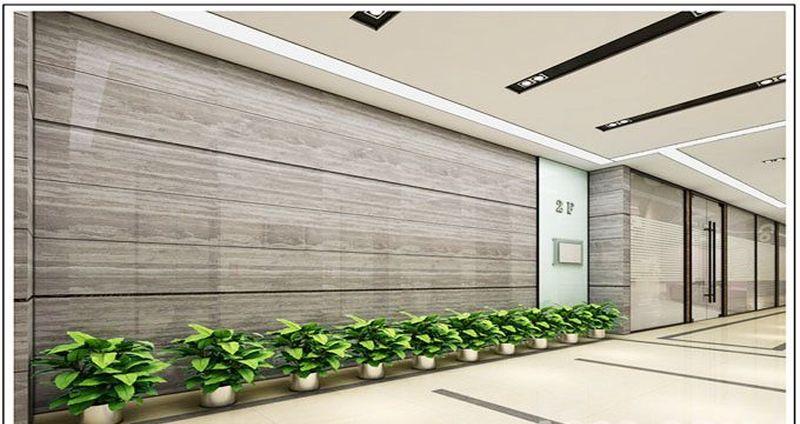 朗锋建筑外观效果图-21