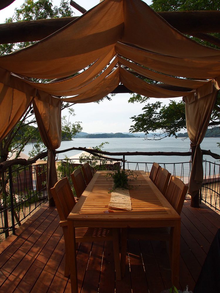 Tree terrace on uninhabited island-13