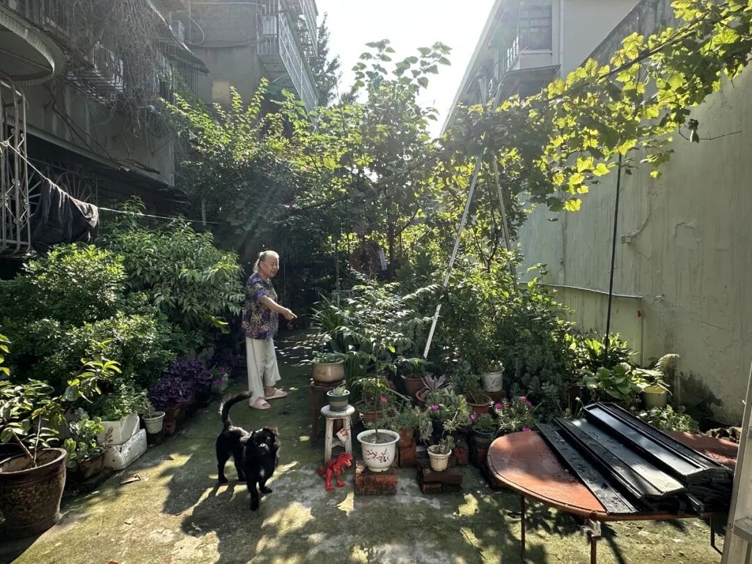 CACPA|花花花画画画-32