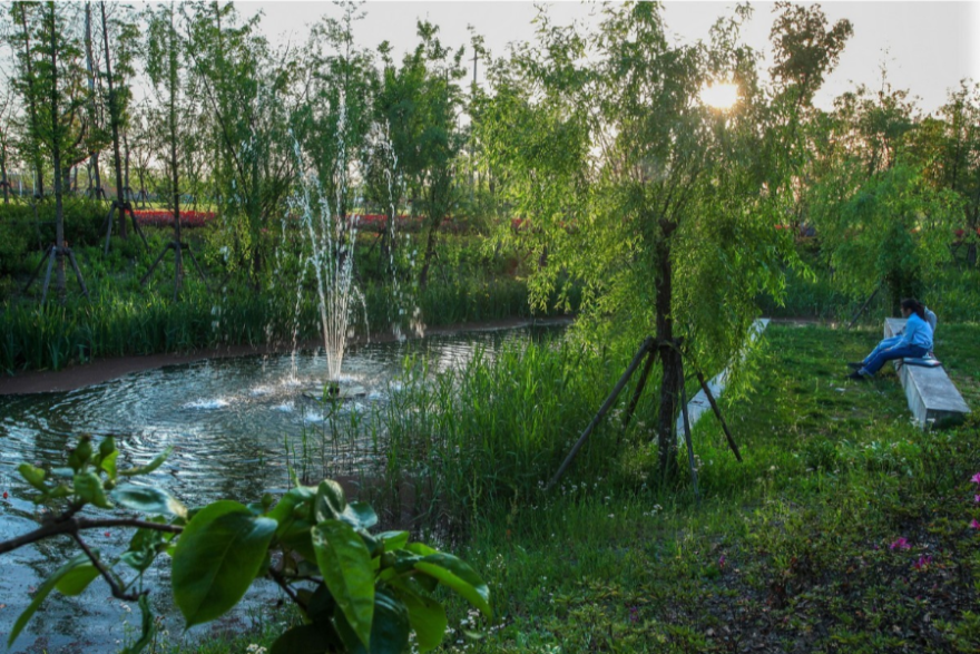 上海科技大学-48