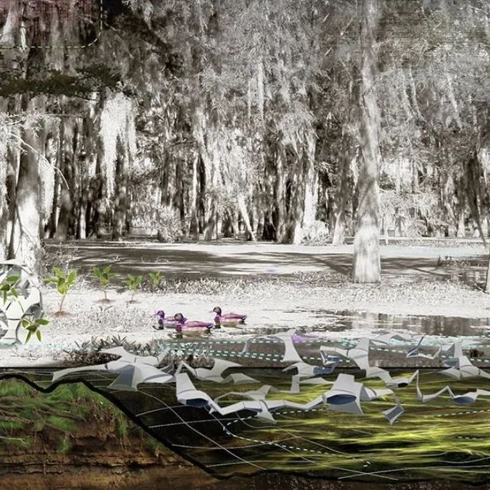 数字未来 2020 全球抗疫公益数字工作营全导师阵容揭晓!-171