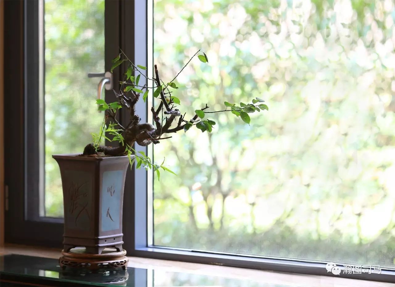 1260平方米城市豪宅从室内到室外的超高实现度【瀚图司马】-34