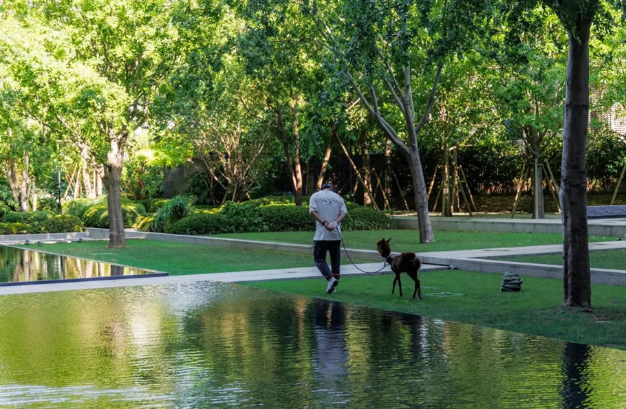 宁波 YUN 酒店丨中国宁波丨卢胤翰-26