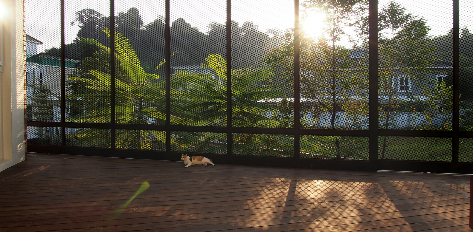 38Mews House  Design Collective Architects-32