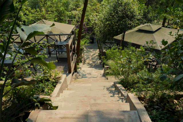 绿意盎然,火锅心情——自然环境对火锅体验的影响-31