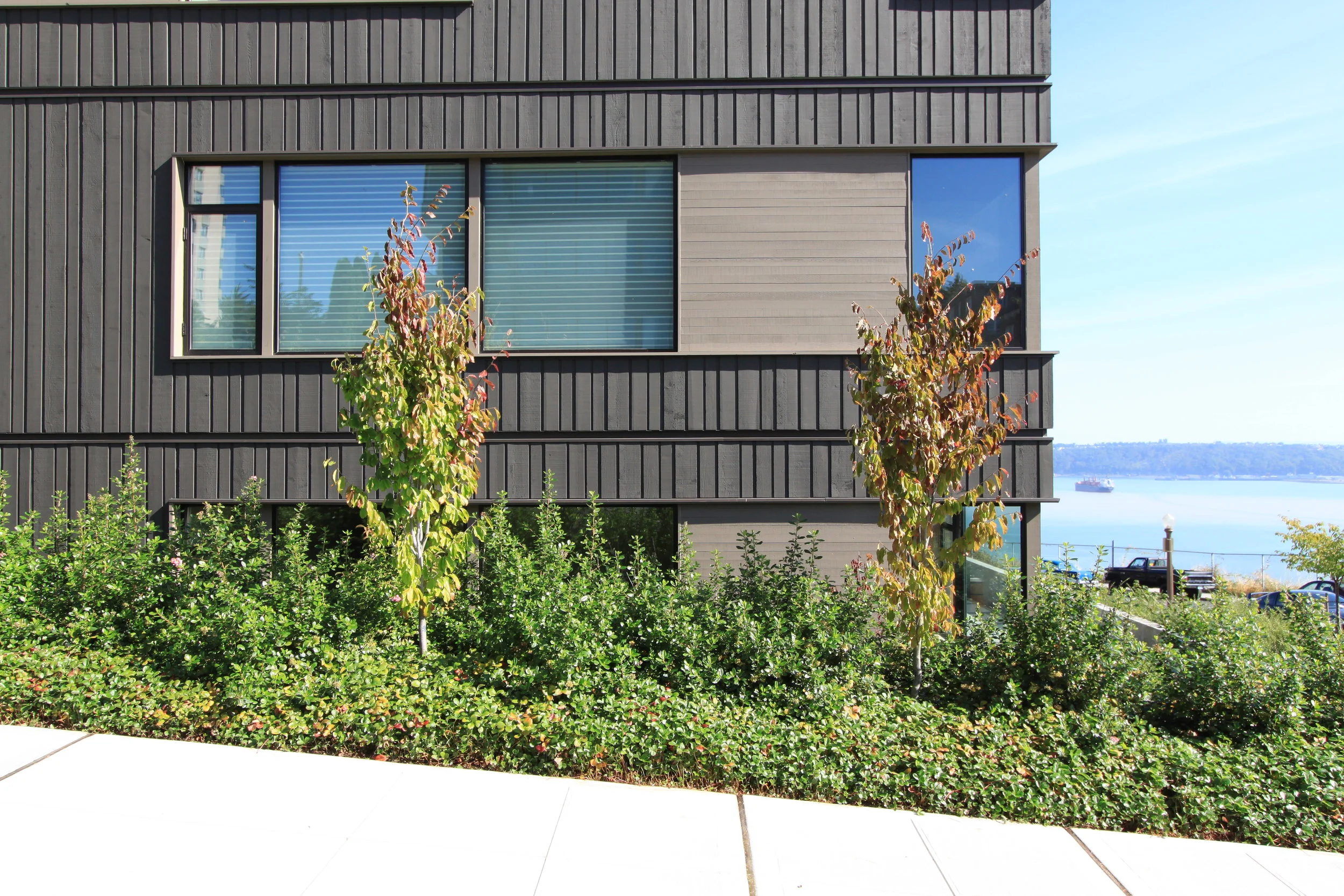 302号体育场丨United StatesTacoma-7