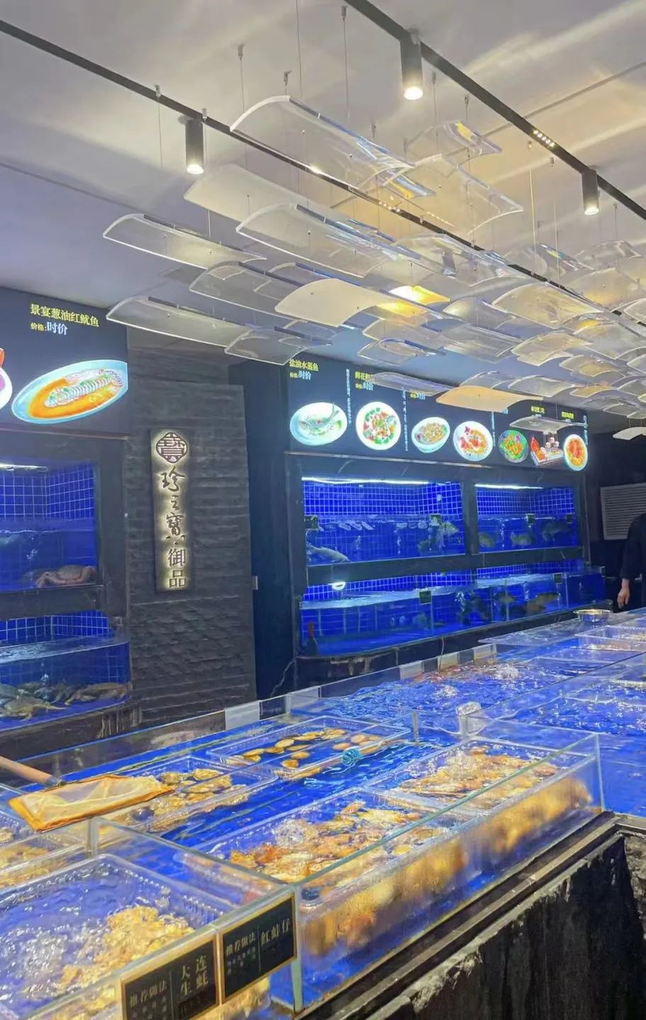 OE丨东方美韵 · 寻梦游园-珍之宝御品-43