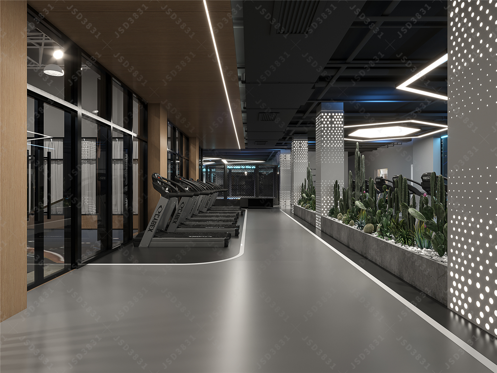 工业健身房设计,公司健身房设计,会所健身房设计-10