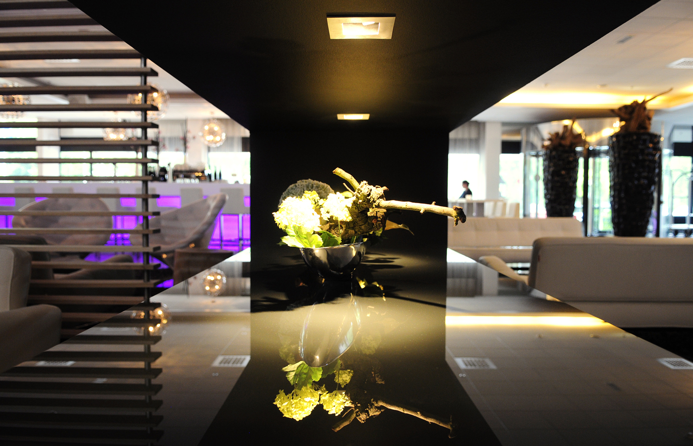 荷兰海牙皇冠假日酒店(摄影图片)-8