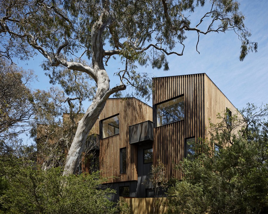 Parkville Townhouses by Fieldwork Project-6