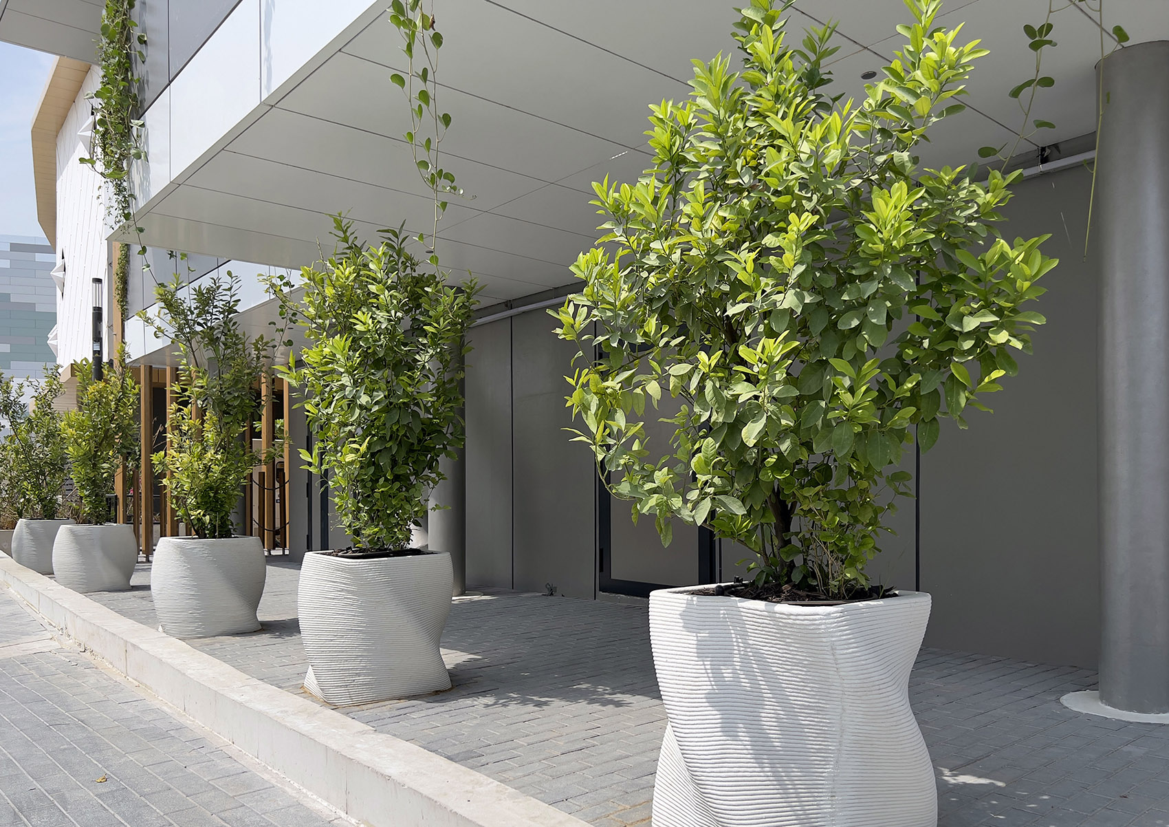 绿色拱门&2020迪拜世博会比利时馆丨阿联酋迪拜-44