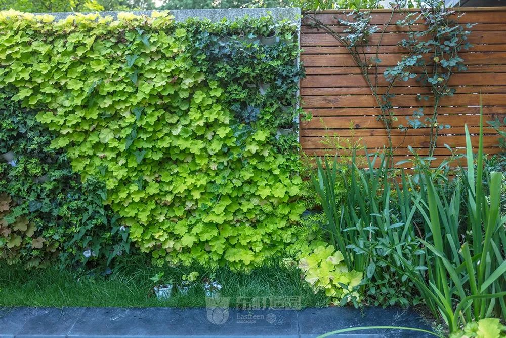 花园植物搭配的艺术与功能-17