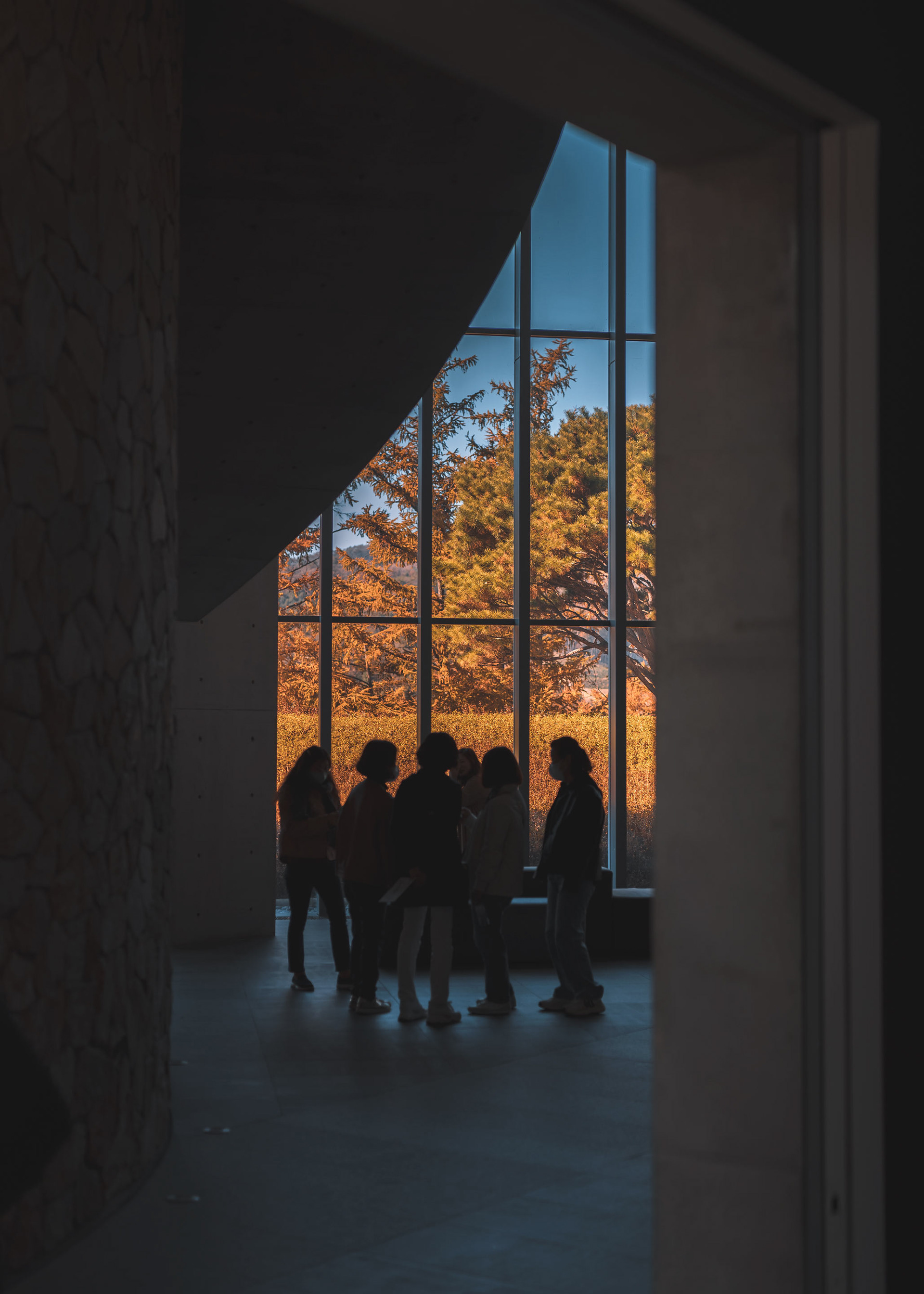 博物馆 SAN丨韩国原州市丨安藤忠雄-17