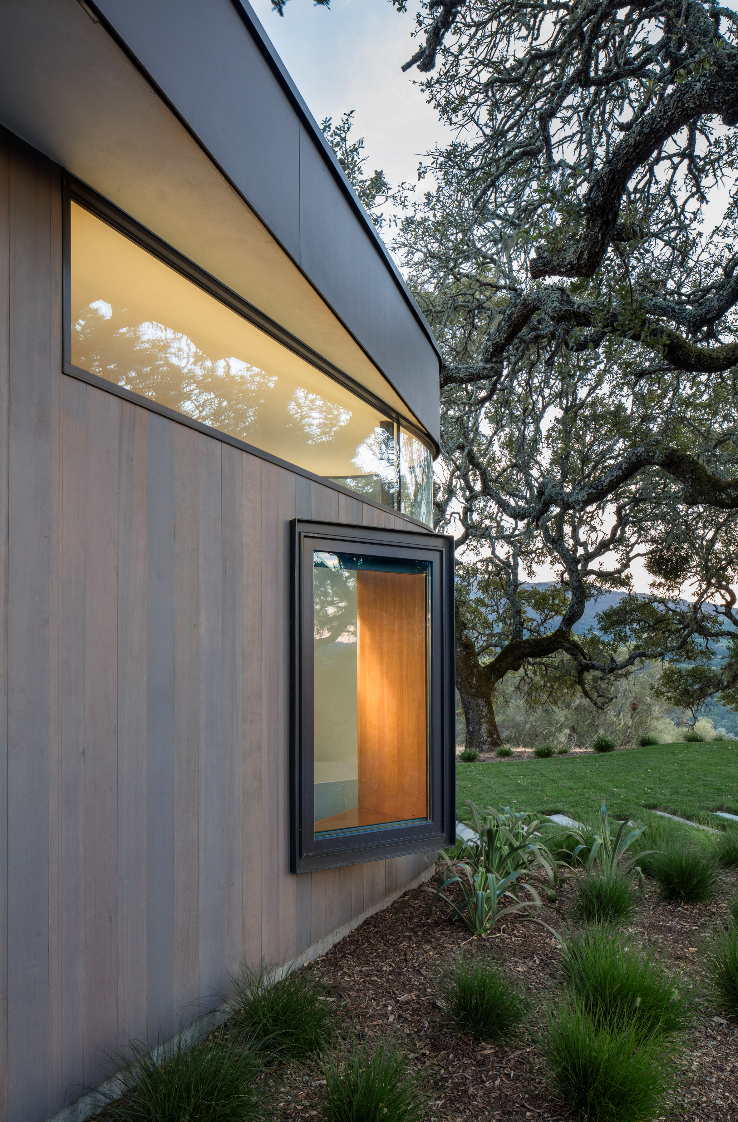 Tree lichen influences California house by Schwartz and Architecture-6