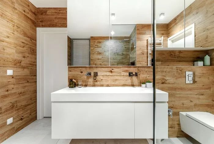 保加利亚现代住宅改造设计-21