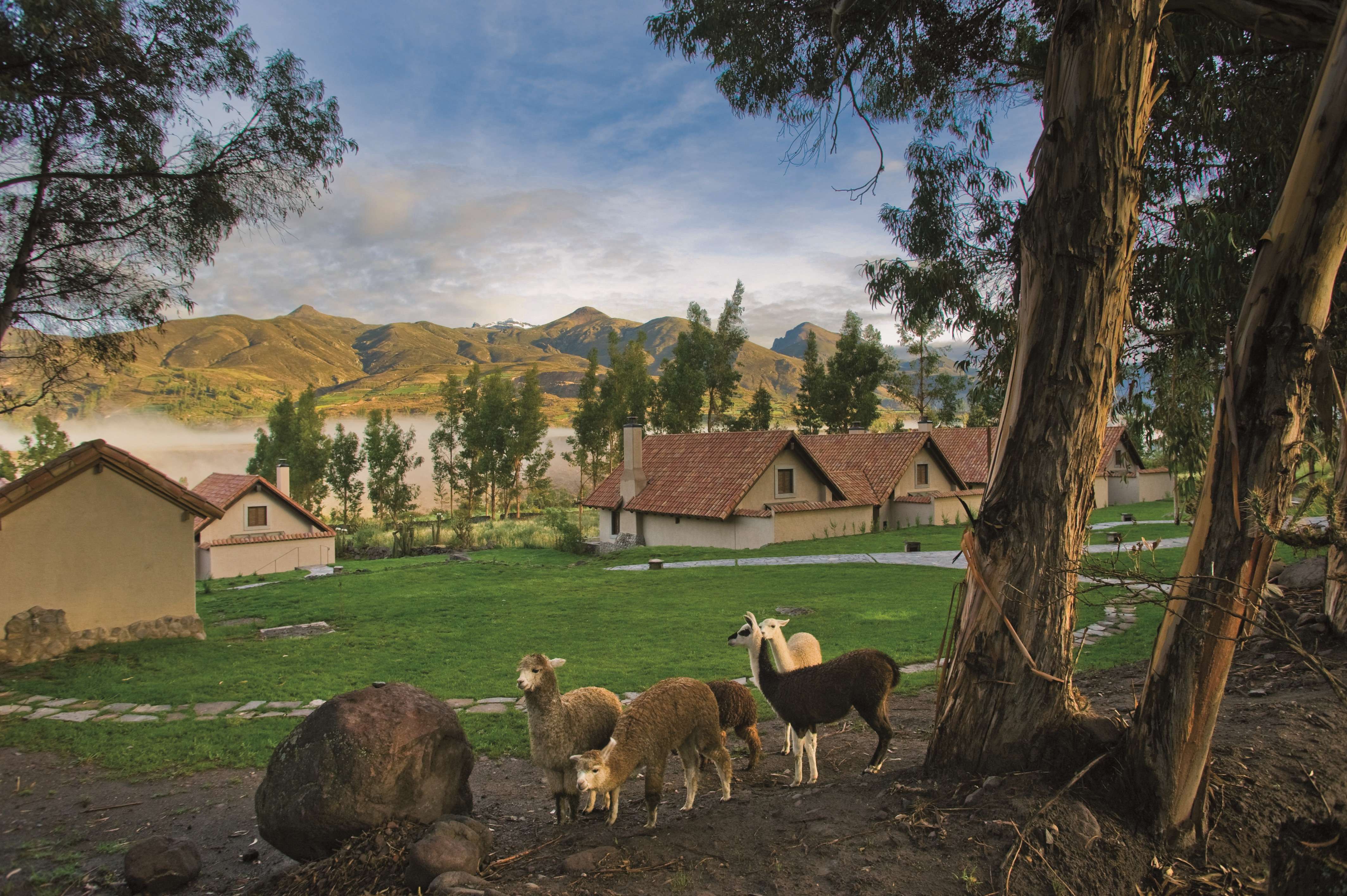秘鲁 Las Casitas del Colca-7