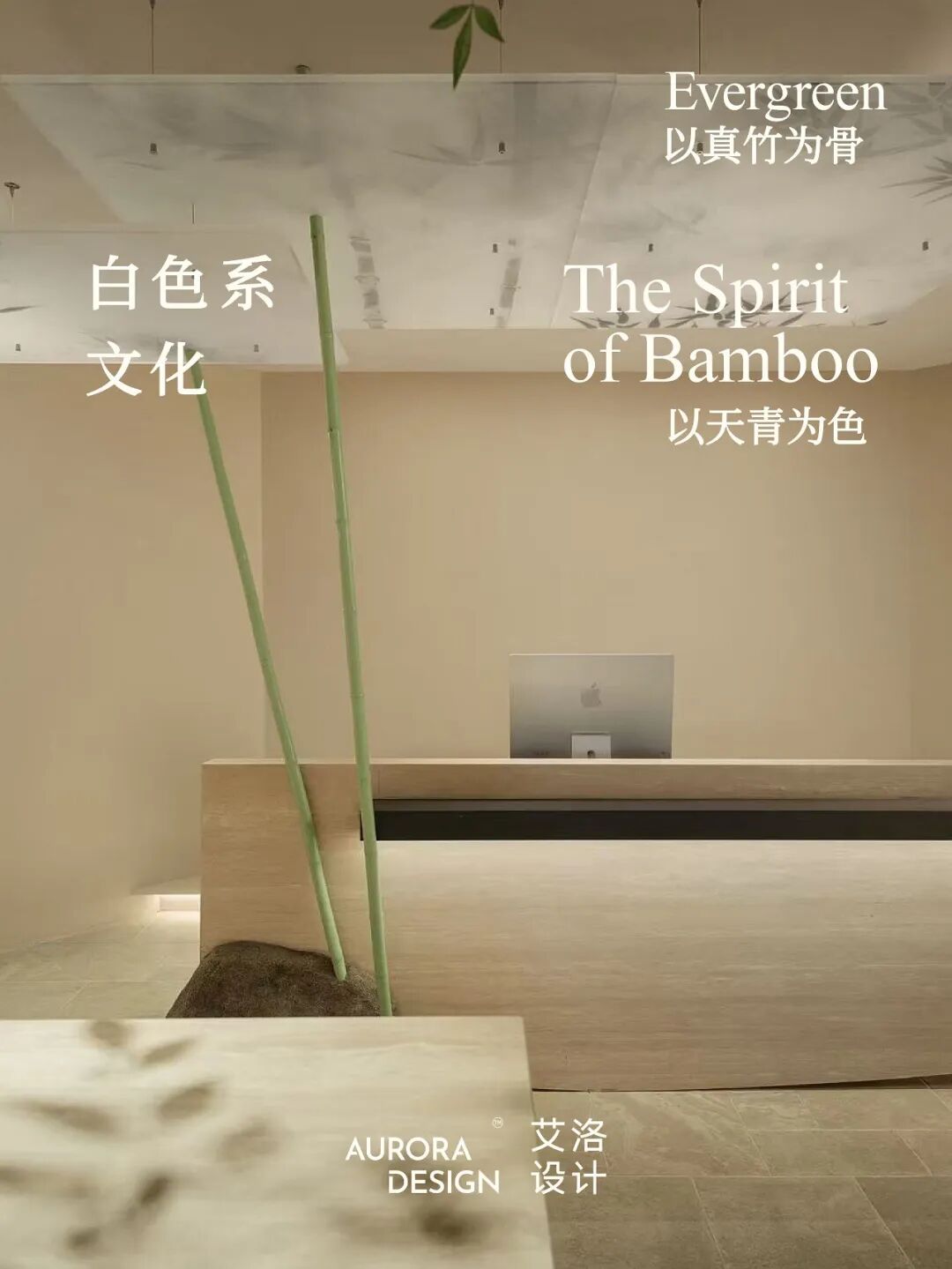 上海白色系文化公司丨中国上海丨艾洛设计-0