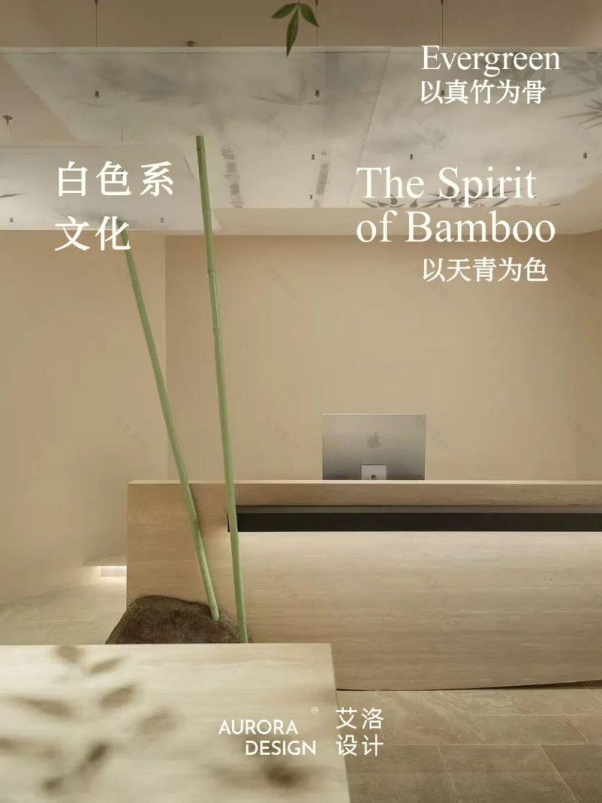 上海白色系文化公司丨中国上海丨艾洛设计-0