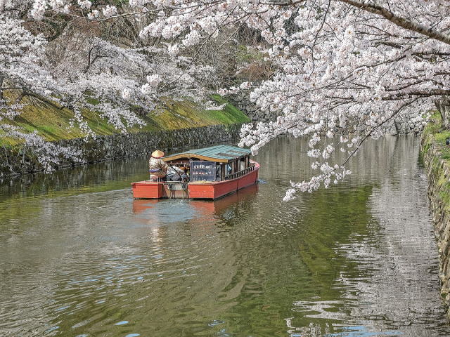 玄宮楽々園（含玄宮園,楽々園,彦根城）-46