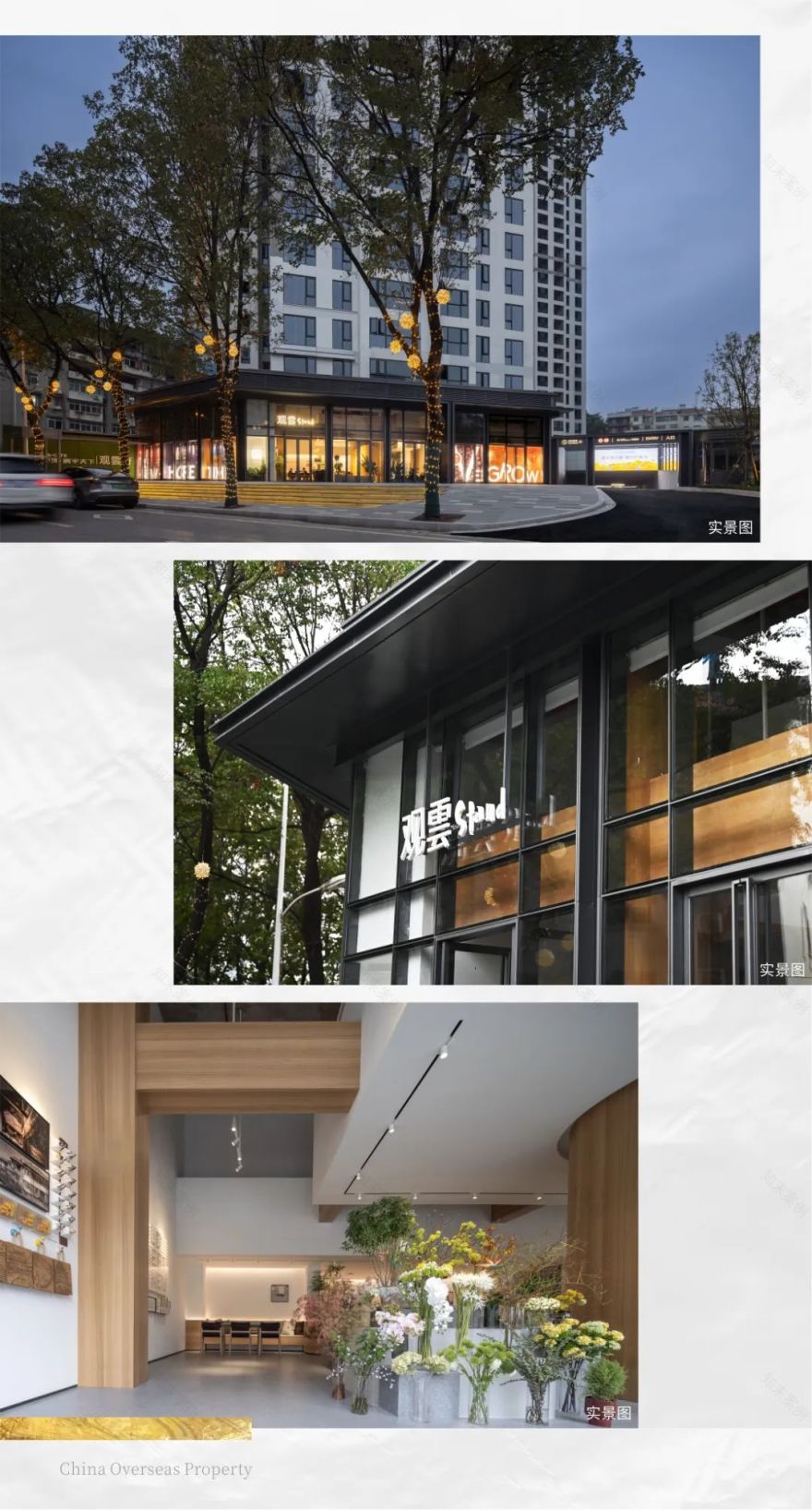 为540岁汉阳树安“新家”,中海守护文化“活化石”-42