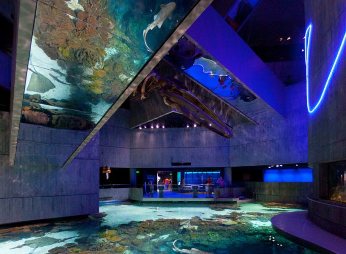 Featured | CambridgeSeven-44