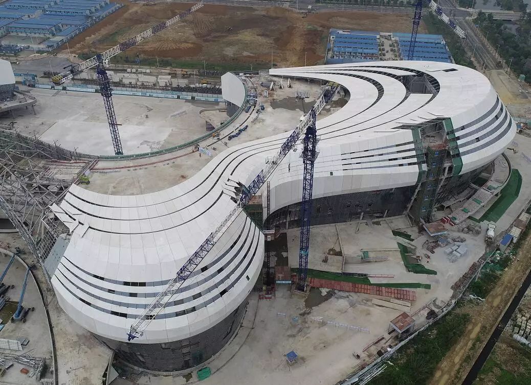 中国最大、最靓的“蝴蝶”惊现广西柳州！-26