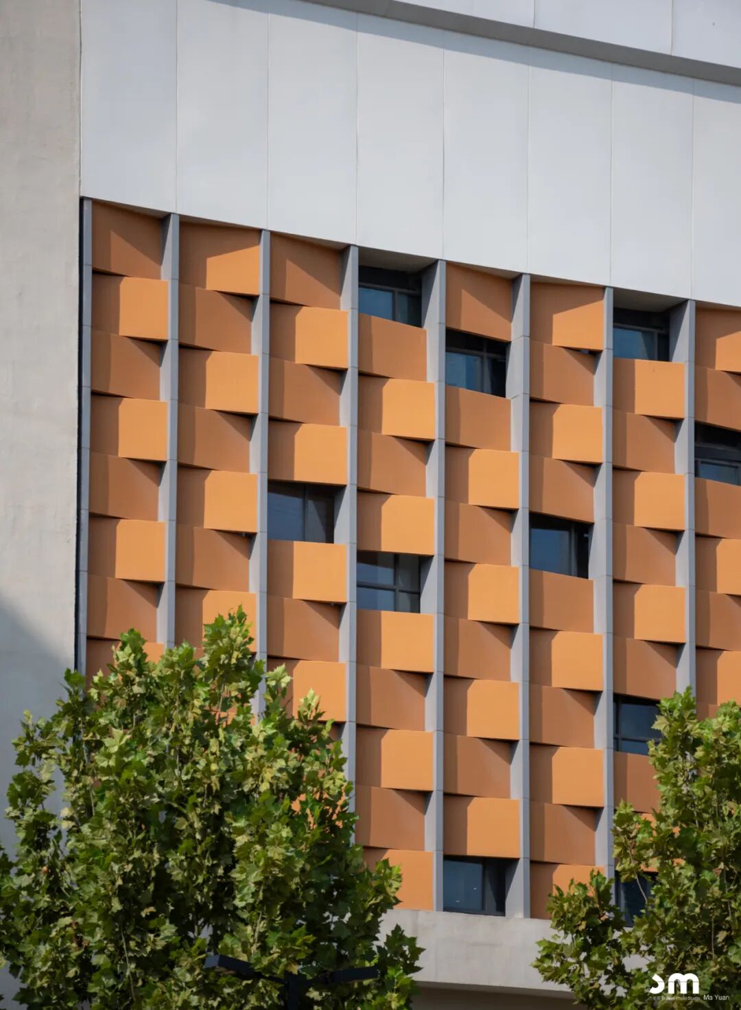 滁州中学新校区丨中国滁州丨同济大学建筑设计研究院（集团）有限公司-56