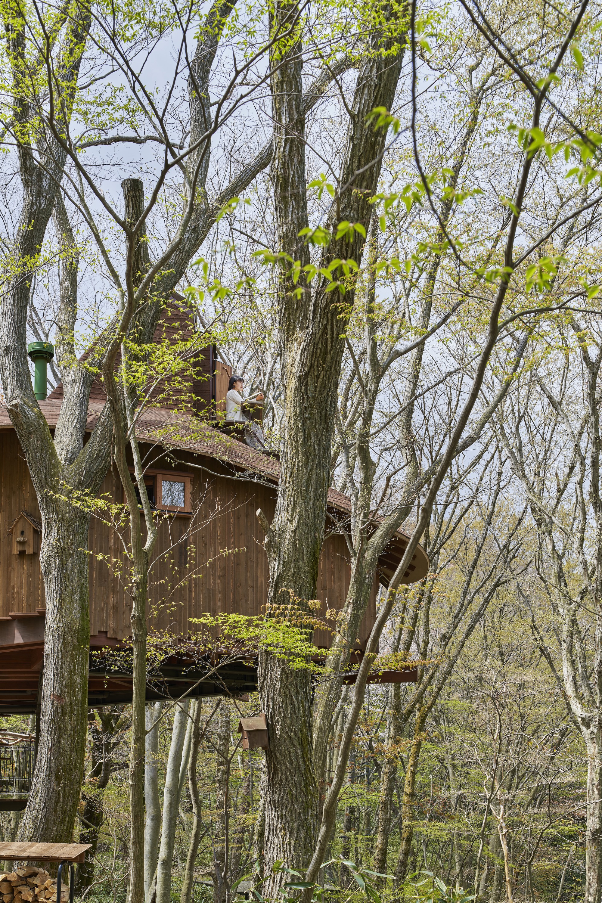 火山上的树屋丨日本丨Hiroshi Nakamura & NAP-10