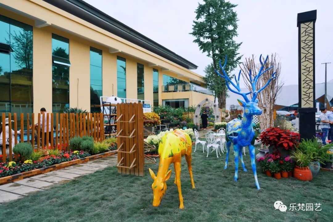 乐梵园艺打造成都花木博览会快闪花园,惊艳全场-22