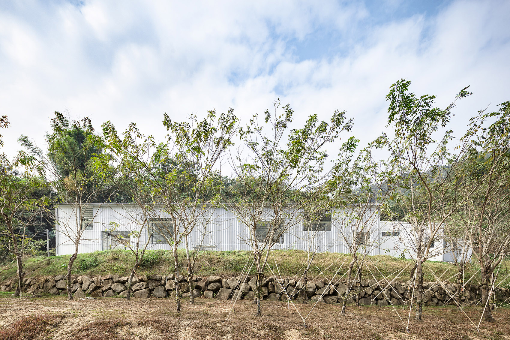 台湾「温室」咖啡馆兼餐厅-17