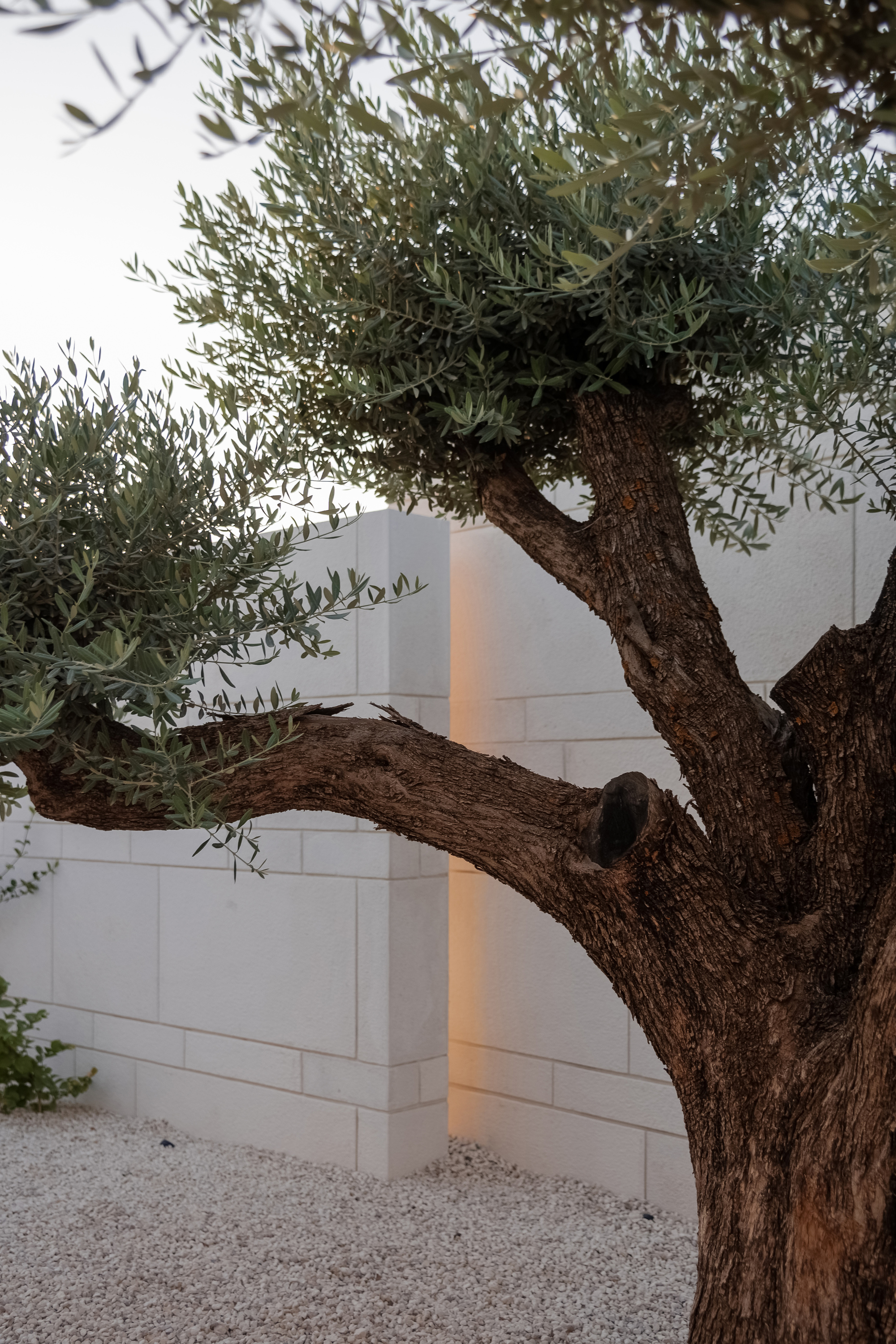 丨约旦安曼丨Abdel Qader Tarabieh Architecture-36