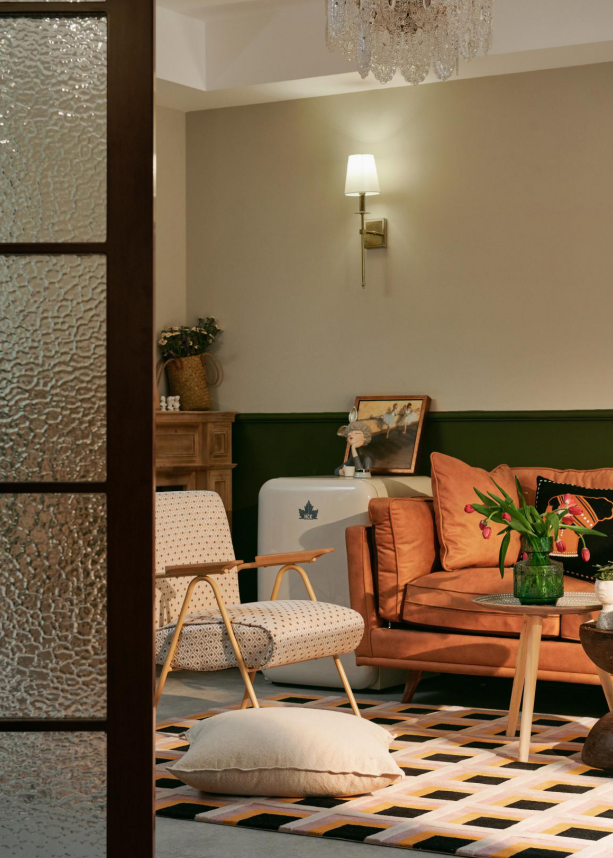 雷刚室内设计师丨平层丨画中人-3