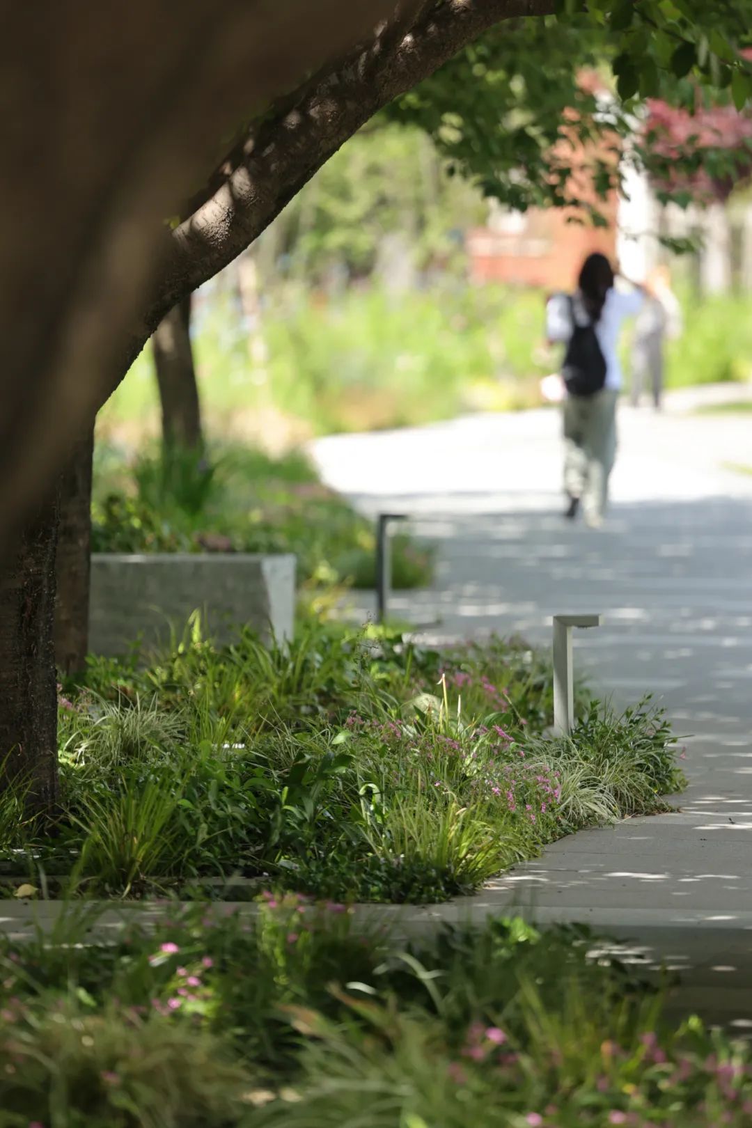 西安欧亚学院南姜路景观改造丨中国西安丨张唐景观-43