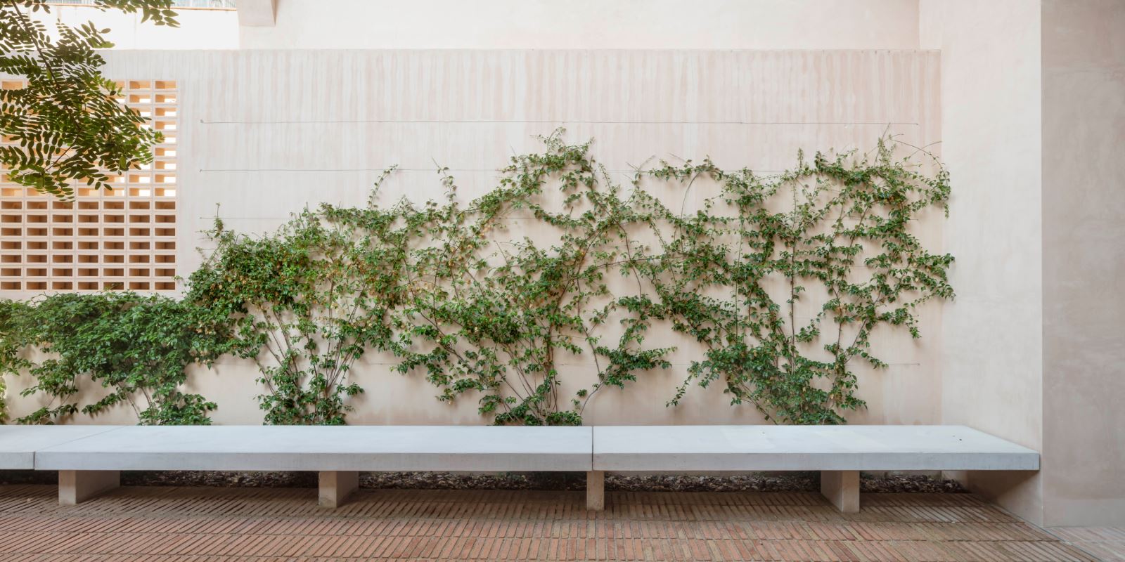 巴塞罗那四友共享住宅-8