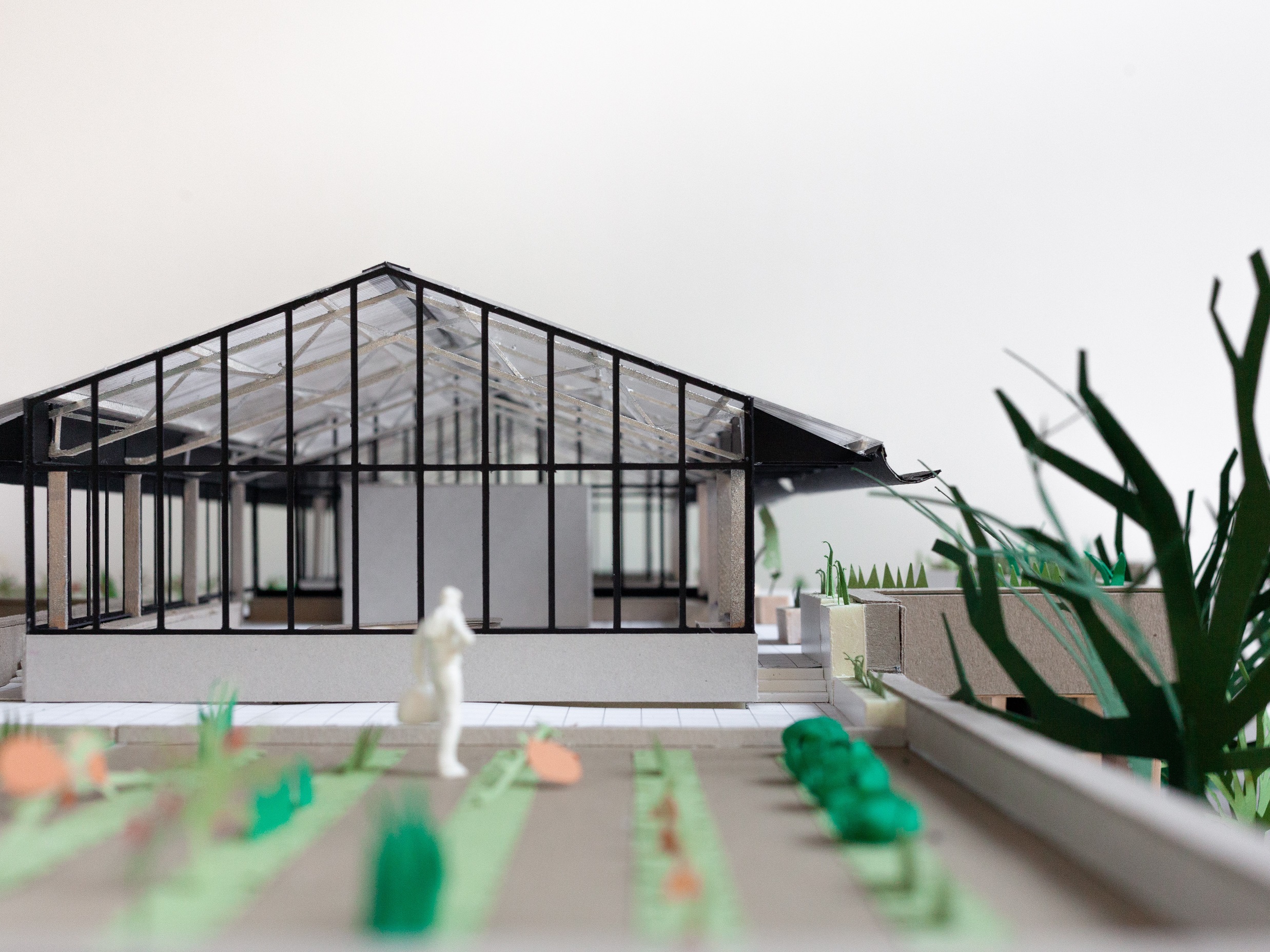 Ferme Maximilien-Sur-Senne - ouest-2