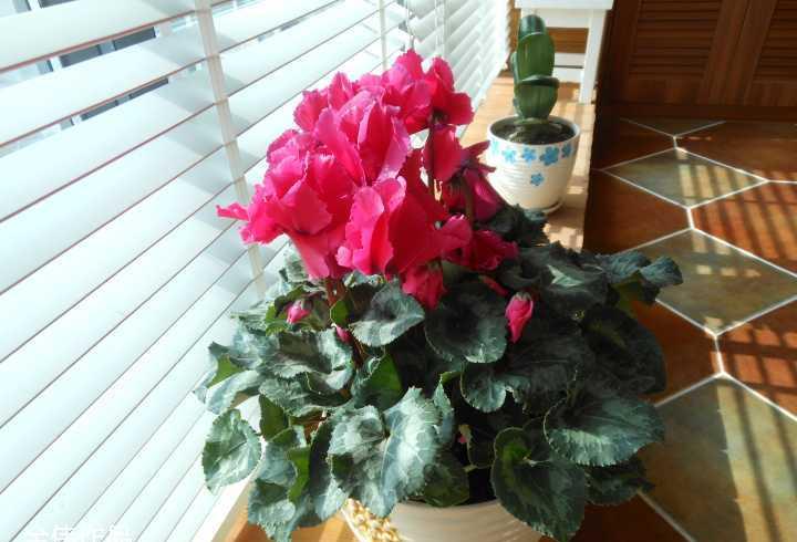 中央大道田园美式混搭设计-50