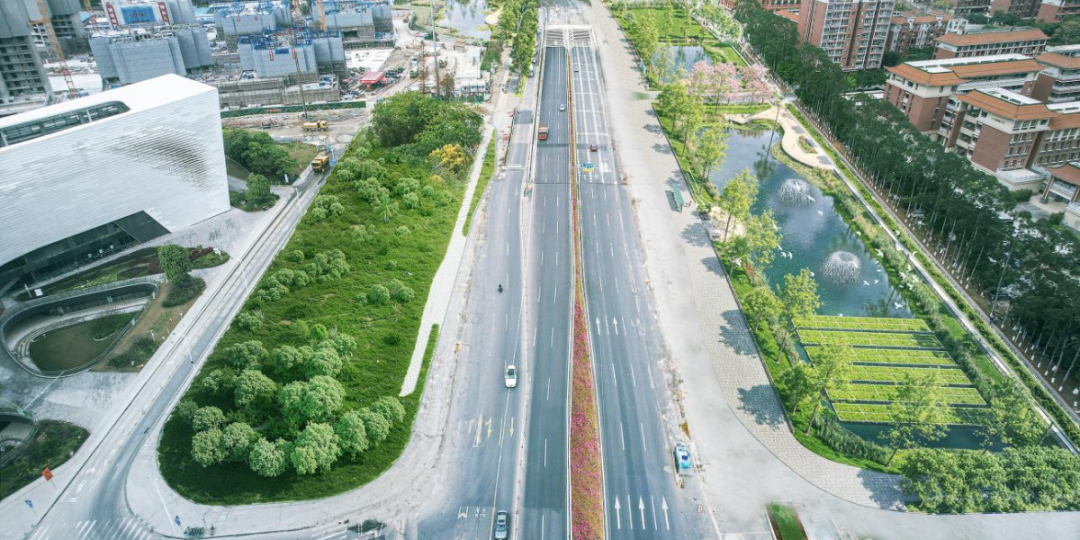 设计大师走进校园，共话凤凰大道调蓄塘ESG实践：打造城市“水心脏”防汛新标杆-12