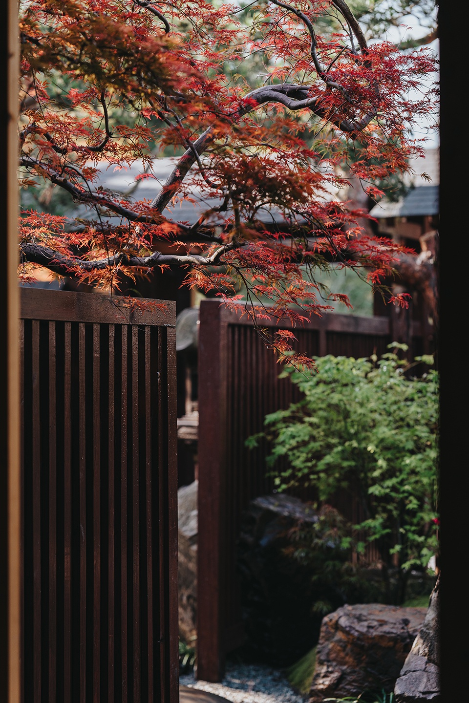 喜出园居基地景观设计丨中国成都-20