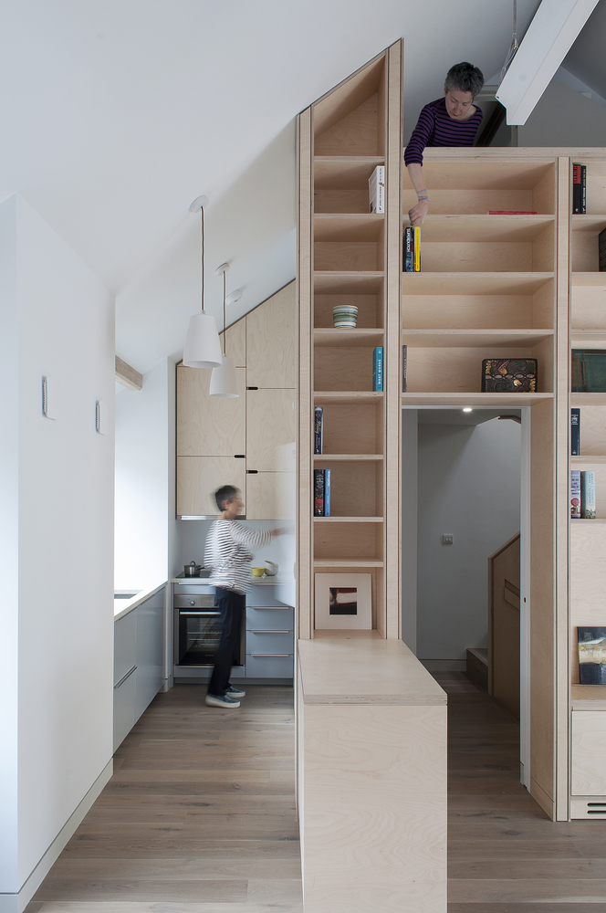 伦敦老屋变现代公寓的绿色翻新-24