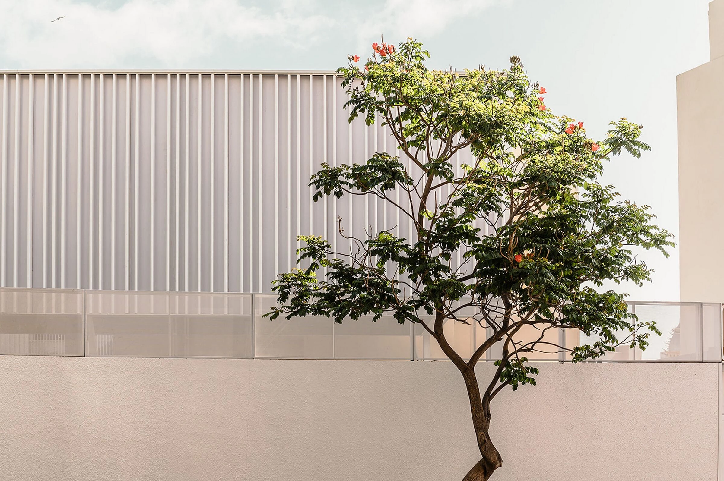 西班牙英语学校的体育运动丨西班牙丨Equipo Olivares Arquitectos-15