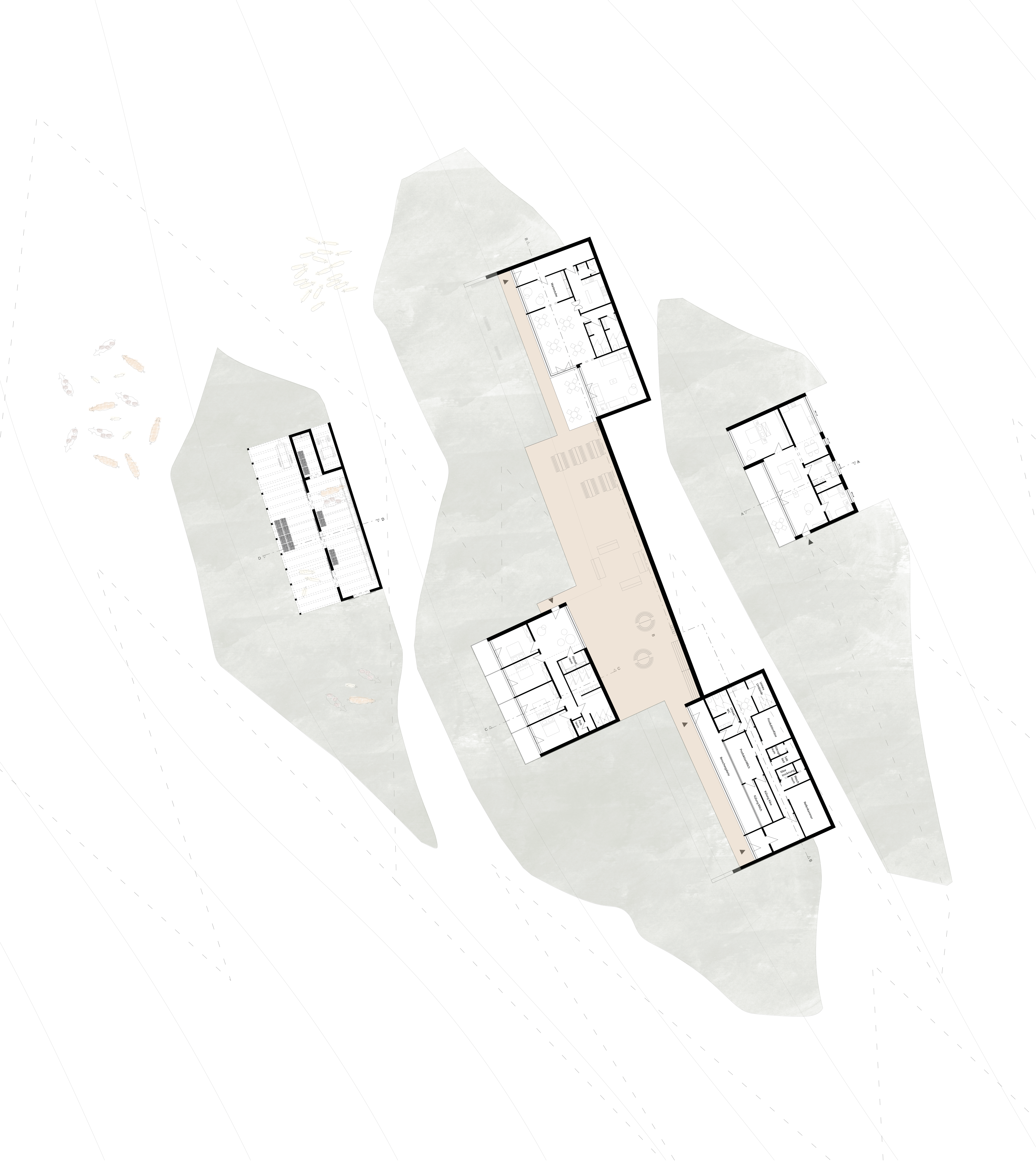 Augusta Bergdorf 阿尔卑斯建筑丨奥地利-6