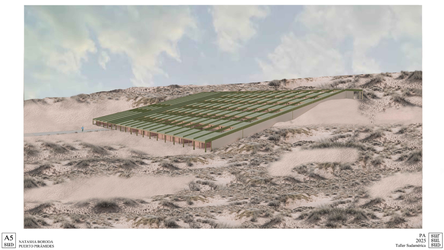 Puerto Pirámide | Centro de Investigacion-12