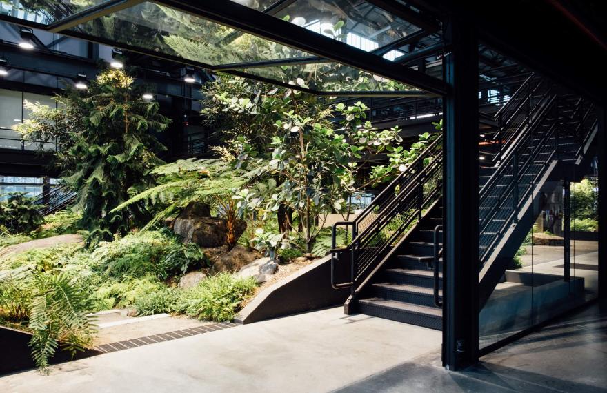 “最硬核”的办公空间改造,废弃海军造船厂中长出了一座封闭森林!-24