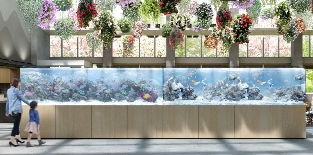 全球最美星巴克,花店、水族馆、百樱共赏-16