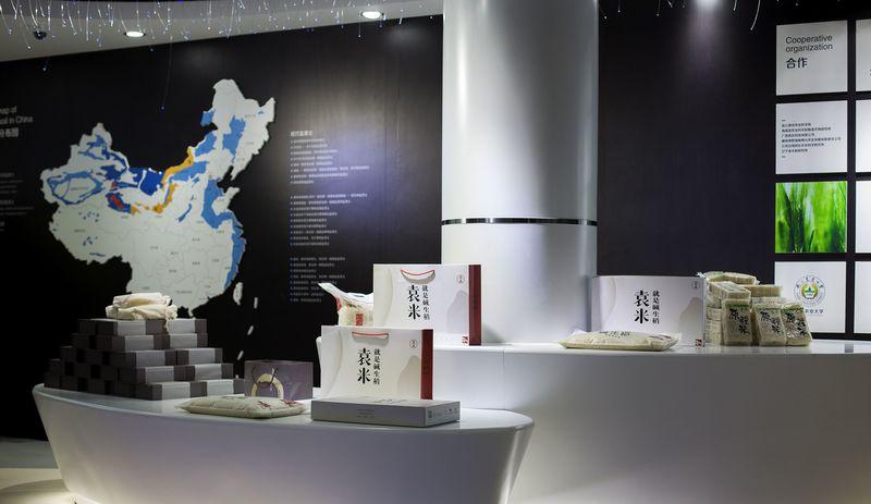 海水稻科技展厅，现代科技与传统水稻文化的完美融合，农业展厅-15
