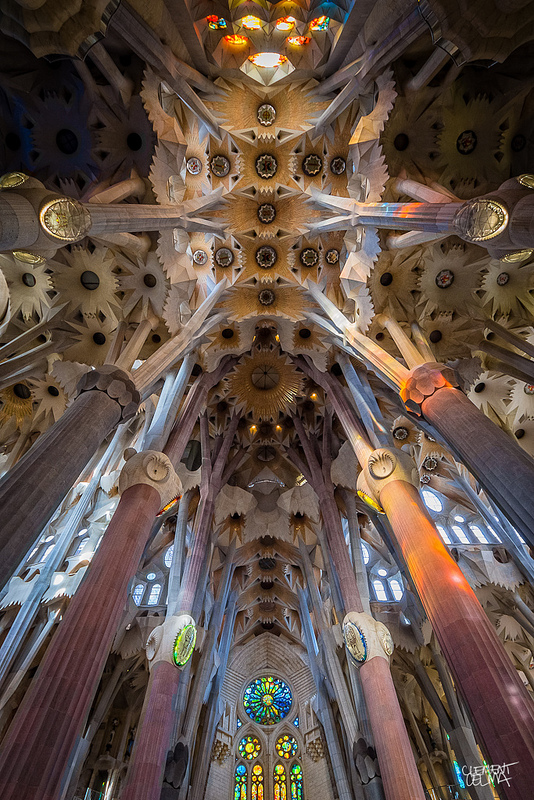圣家堂（Sagrada Familia）天花板设计丨西班牙巴塞罗那丨安东尼·高迪（Antoni Gaudí）等-11