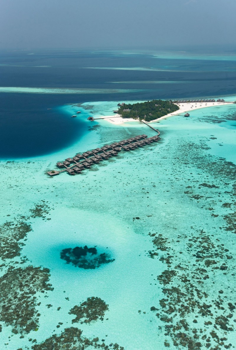 马尔代夫康斯坦斯穆弗希度假村-7