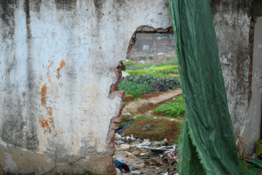 陈海峰  影像纪实 / 东湖之上-24