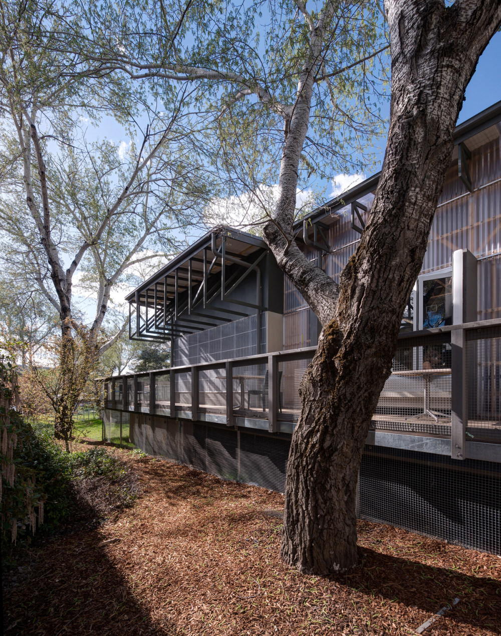 澳大利亚国立大学临时聚会村-38