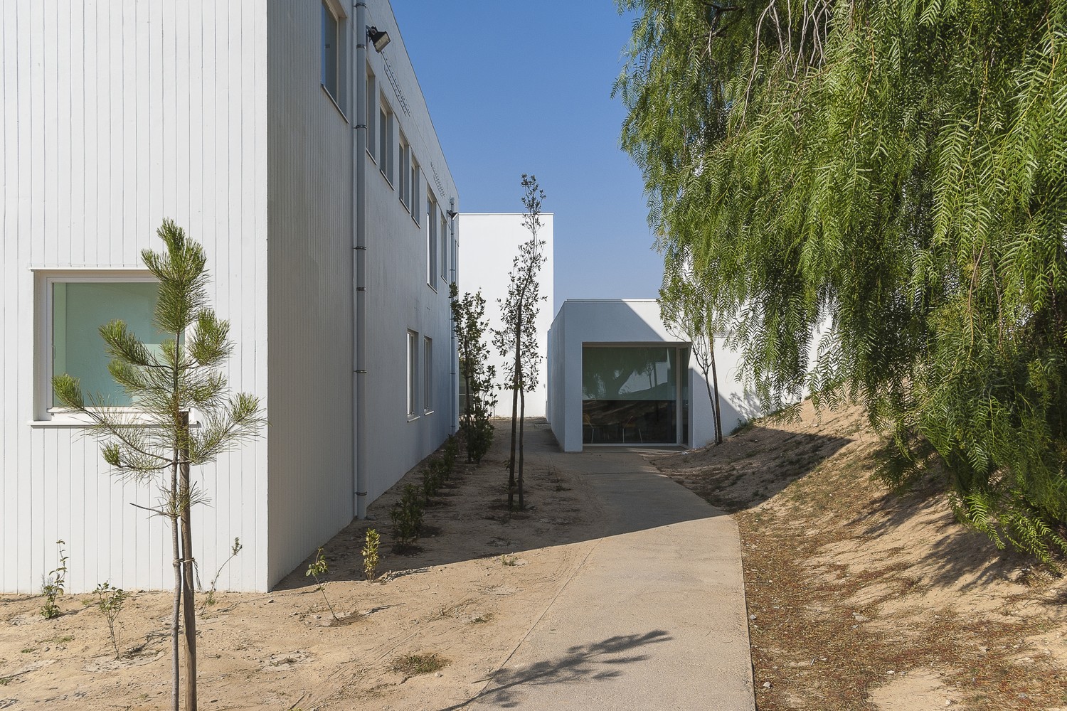 Lima de Freitas School Renovation  Ricardo Carvalho + Joana Vilhena Arquitectos-37